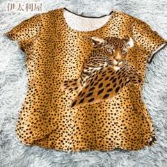 伊太利屋【F】レオパード柄 ヒョウ柄半袖 Tシャツ カットソー レーヨンニット