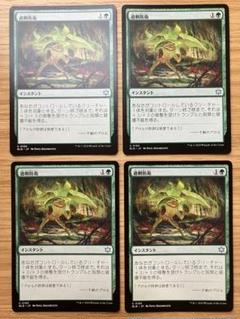 MTG　不快な群れ　日本語4枚セット　ゆうゆうメルカリ便発送 MTG 不快な群れ 日本語4枚セット ゆうゆうメルカリ便発送 - メルカリ