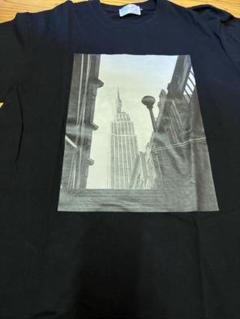 ロニースコッツで購入Filphies エンパイアステートビル Tシャツ M