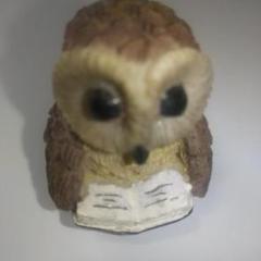 【送料無料】本を持つフクロウの置物【即日発送】