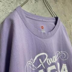 ヘインズ 古着 アメリカ輸入 ナイアガラの滝 プリント Tシャツ 半袖 大きめ