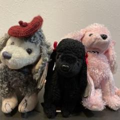 Ty プードルぬいぐるみ 3体セット
