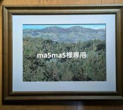 2025年最新】ふしぎな花倶楽部 押し花額の人気アイテム - メルカリ