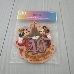 2025年最新】ディズニー40周年マグネットの人気アイテム - メルカリ
