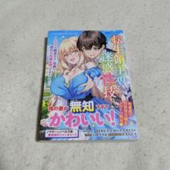 文庫・小説　転生領主の迷惑性技　Variant Novel