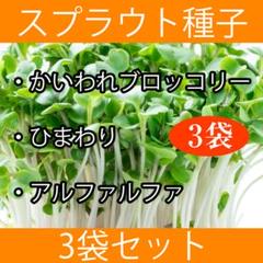 スプラウト種子まとめ買い3袋セット