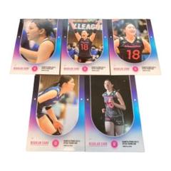 Vプレミアリーグ女子　直筆サイン入り　ポスター　抽選当選品　女子バレー Vプレミアリーグ女子 直筆サイン入り ポスター 抽選当選品 女子