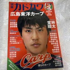 別冊カドカワ 総力特集 広島東洋カープ