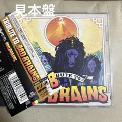【見本盤】VA/TRIBUTE TO BAD BRAIN Aのサムネイル