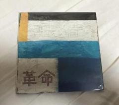 andymori　革命　国内初回レコード　シュリンクあり　美品 andymori革命国内初回レコードシュリンクあり美品