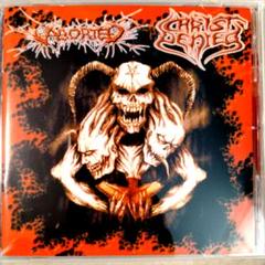 ブルデス Disgorge 4枚セット CD 2025年最新】disgorgeの人気アイテム - メルカリ