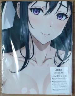 ハイスクールD×D 姫島朱乃 シークレット バスタオル Amazon.co.jp: ハイスクールD&D 姫島朱乃バスタオル
