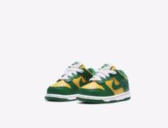Nike dunk low SP kids