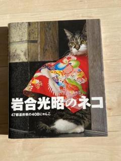 岩合光昭のネコ 47都道府県の408にゃんこ 初版❗極美品❗大型本