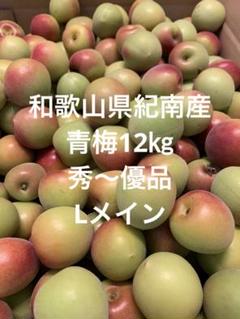 和歌山県紀南産　青梅12㎏　秀〜優品　LメインM.S混じります。 和歌山県紀南産 青梅12㎏ 秀〜優品 LメインM.S混じります