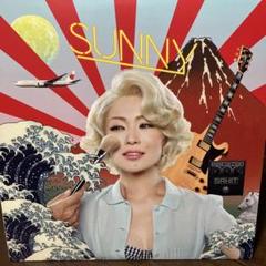 【新品未開封】 椎名林檎　レコード　二枚セット　LP 初回生産限定・重量盤 Amazon.co.jp: 三毒史椎名林檎 初回生産限定盤 2枚組 重量盤