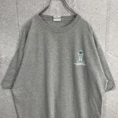 チャンピオン　カレッジプリント　チームロゴ　バスケ　ビックサイズTシャツ 2XL