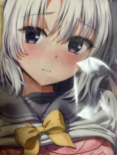 サノバウィッチ　綾地寧々　抱き枕カバー　ゆずソフト ぶるぶれ　clear 特殊版
