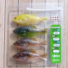 一誠　ギルフラットのサムネイル