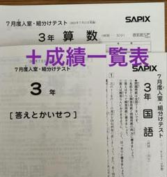 記入消し済み★SAPIX4年生マンスリー、組分けテスト 優秀層〜苦手層まで役立つ】4年夏期講習マンスリー確認テスト