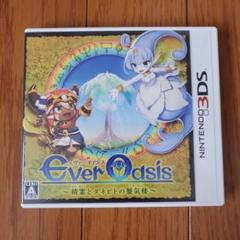 3DS Ever Oasis 精霊とタネビトの蜃気楼　エバーオアシス