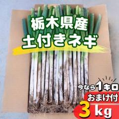 大分県産 採れたて泥付き白ネギ（6kg）3箱 大分県産 採れたて白ネギ（太め）6kg | 野菜/ねぎ 産直アウル