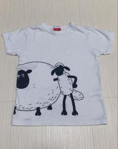 OJC Tシャツ 8A ホワイト