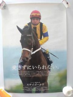 jra ヒーロー列伝ステイゴールドB2