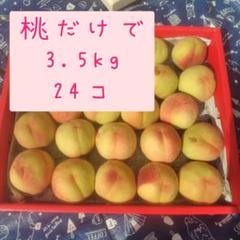 60☆加工用若桃☆桃だけで約3.5kg24コ❌ATMコンビニ払いNG