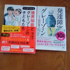 発達障害とグレーゾーン　境界知能とグレーゾーンの子どもたち　２冊セット