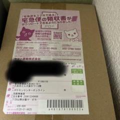 横浜ピカチュウ デッキ 未開封