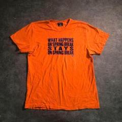 【AMERICAN EAGLE】プリントTシャツ 古着used SM15 鷲
