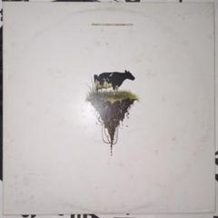 中古 phoenecia - oddjob discrimination