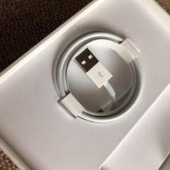 Lightning ケーブル ipad mini4 付属品 Apple純正 1m
