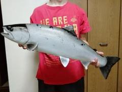 ハンドメイド39cmサツキマス フィギュアレプリカ魚模型釣り置物