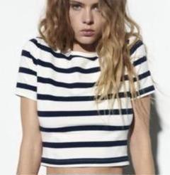 ZARA ストライプ クロップドTシャツのサムネイル