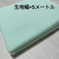 某百貨店　子供服ブランド　5メートル