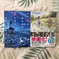 汐見夏衛　あの花・あの星2冊セット