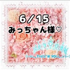 ❤️みっちゃん様♡【6月15日】 - メルカリ
