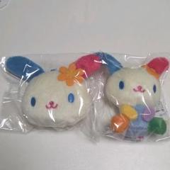 ウサハナ　セット