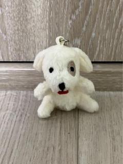 今日のわんこ　犬のぬいぐるみ 　キーホルダー付き 未使用　フジテレビ　レア 2025年最新】きょうのわんこの人気アイテム - メルカリ