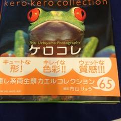 ケロコレ