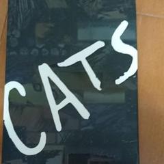 CATS キャツシアターパンフレット