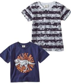 本日限定値下げ【新品】恐竜 Tシャツ 半袖 ２枚セット