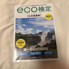 ご購入者様決定済み　2025年版環境社会検定試験eco検定公式問題集　コードなし