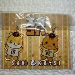 新品未使用✧*。 限定品！スガコバ アクリルキーホルダーセット