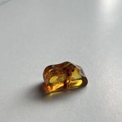 0.9g バルティックアンバー 原石 ミニ