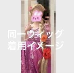 即購入可⭕️ ラプンツェル イメージ ウィッグ 即日発送可 ラプンツェル イメージ ウィッグの通販 by
