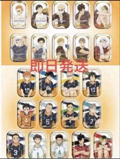 ハイキュー‼︎ スクエア缶バッジ セット クールダウン おすわり