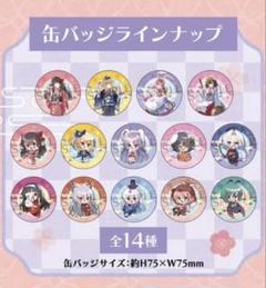 新品】東方Project ラッキー缶バッジBOX 缶バッジ 全14種セット